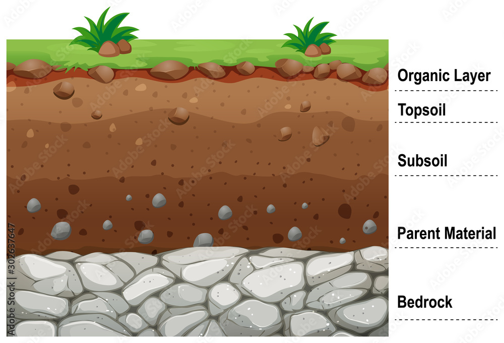 Diagram showing different layers of soil - obrazy, fototapety, plakaty 