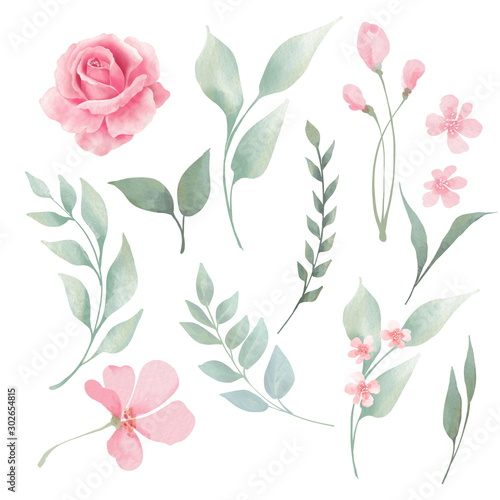 Set of leaves and flowers, isolated on white