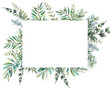 Watercolor greenery card design. Hand painted floral template: plants frame on white background.