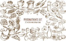 Macronutrient Collection Of 52 Hand Drawn Individual Vector Illustrations