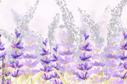 Seamless pattern border with sprigs of lavender flowers in the field on the meadow Poster Mural XXL