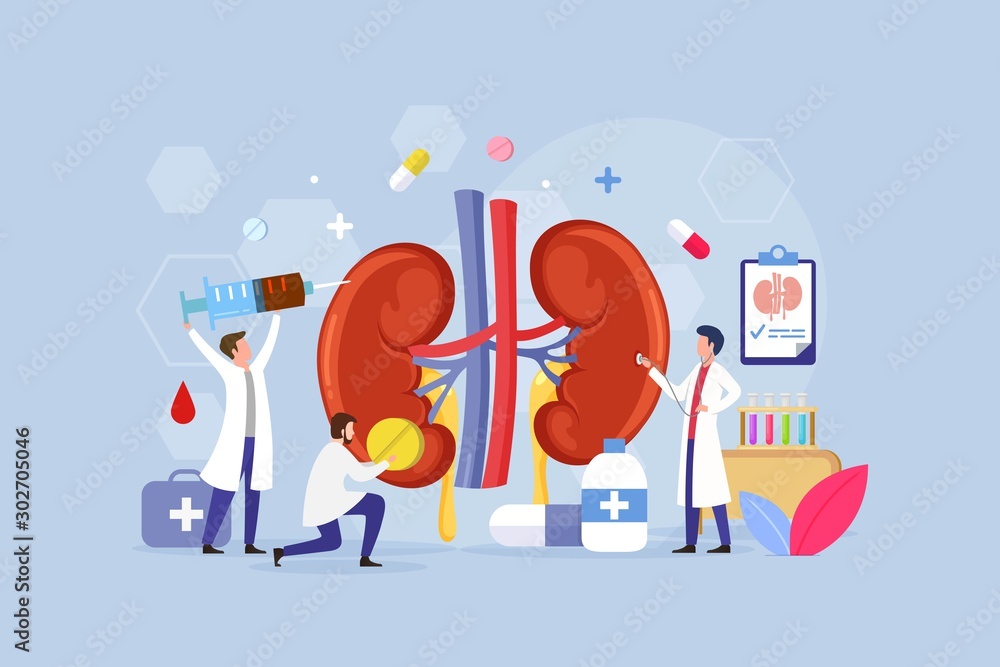 Modern process Kidney inner organs disease treatment design concept with Tiny People Character Vector Illustration - obrazy, fototapety, plakaty 