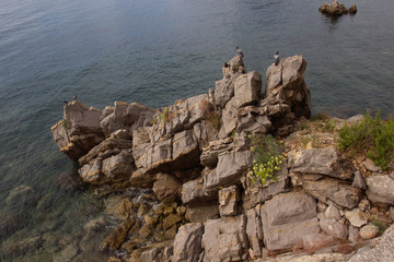 The coast of Montenegro. Summer landscape.	