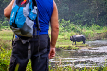 a tourist watching a wild rhinoceros during a walking safari in the chitwan national park, nepal