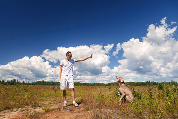 Wall Mural - Man playing with dog on nature at daytime