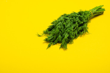 Wall Mural - fresh bunch of dill on yellow background, top view