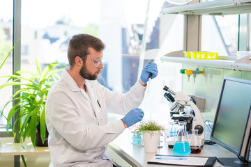 Wall Mural - scientist working in lab. doctor making microbiology research. laboratory tools: microscope, test tu