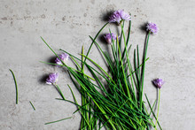 Chive Blossoms On Stone Surface