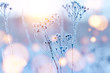Leinwandbild Motiv  frozen twigs in hoarfrost glisten in the sun. winter landscape with sun flare