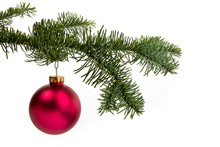 A Christmas Tree Branch With A Red Ribbon And A Large Red Glass Ornament  Isolated On White
