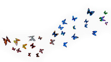 A Pack Of Beautiful Paper Butterflies On A White Background. Illusion Of Butterfly Flight, Flight Of A Flock Of Butterflies Isolated On A White Background.