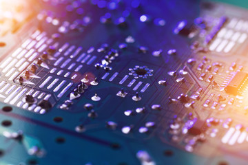 Wall Mural - Close-up of electronic circuit board