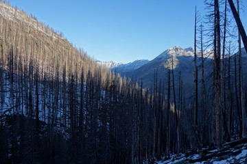 Landscapes of the Pacific Northwest