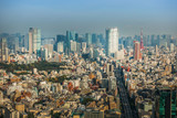 Fototapeta Nowy Jork - 日本 東京 高層ビルのある風景　typical sight of Tokyo, Japan