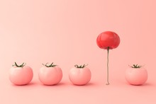 Different Concept Idea. Red Tomatoes Floating Among Pink Tomatoes. Stand Out From The Crowd Minimal Concept. 3D Illustrations.