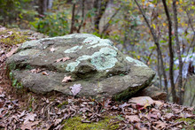 Rock With Light Green Lichens