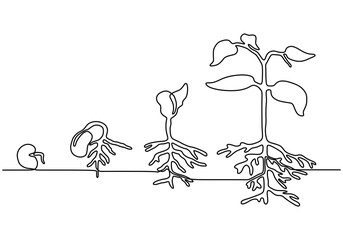 Wall Mural - plants grow isolated on white background or plant seed, growing and cultivation using one line drawi