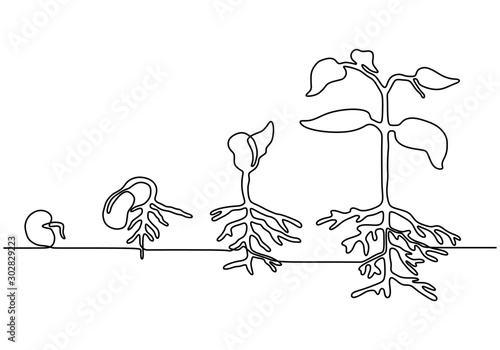 Plants grow isolated on white background or plant seed, growing and ...