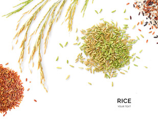 Wall Mural - Creative layout made of rice and rice plant on the white background. Flat lay. Food concept. Macro concept.