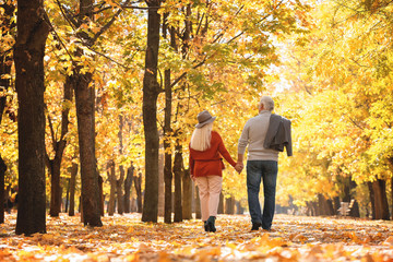 Sticker - Loving mature couple walking in autumn park