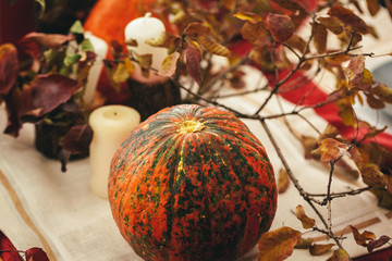 Sticker - Autumn background with pumpkin close up on table