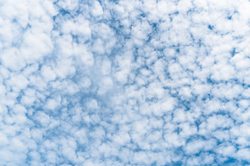 Wall Mural - Background A lot of beautiful Small Fluffy Clouds with blue sky in the morning