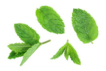 Fresh Green Mint Leaves Isolated On White Background, Top View. Flat Lay
