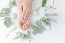 Stylish Plain Female Hand Manicure Gel Polish On White Flower Background Eucalyptus, Top View. Concept Natural Organic Skin Care