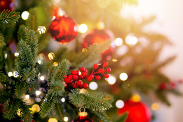 Christmas red pine tree with background bokeh light, sun light