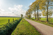 Country road in Belgium