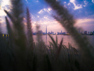 Wall Mural - sunset over lake