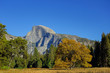 Half Dome mit Herbstwald im Yosemite National Park in Kalifornien