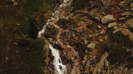 Wall Mural - Aerial tracking shot of wild mountain stream in France