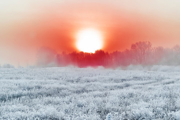 red dawn on a frosty winter morning over the river