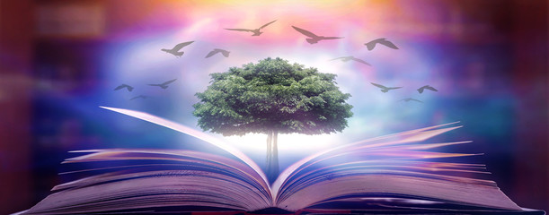 Wall Mural - education concept with tree of knowledge planting on opening old big book in library with textbook, stack piles of text archive and aisle of bookshelves in school study class room