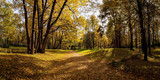 Fototapeta Krajobraz - Landscape of Golden autumn in the Park where there are old oaks. Kuskovo, Moscow, Russia.