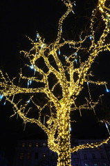 Canvas Print - christmas lights on the tree