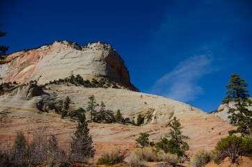 the spectacular zion national park