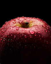 Red Apple With Water Drops