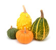 Four green, orange and yellow ornamental gourds for seasonal decoration