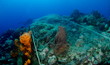 filet de peche sur recifs coralliens