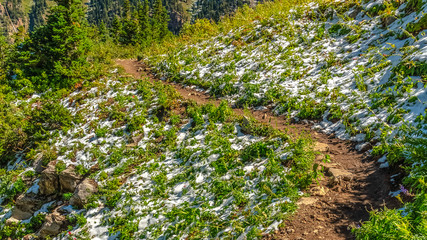 Wall Mural - Panorama frame Dirt hiking trail on Mount Timpanogos, Utah