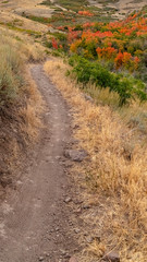 Wall Mural - Vertical frame Scenic view of a mountain hiking trail in Utah