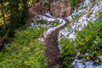 Wall Mural - Curving hiking trail on Mount Timpanogos, Utah