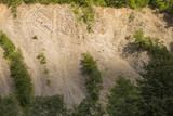 Fototapeta Na sufit - Beautiful Scenery. Carpathian Mountains with Elephant Peak at the west of Ukraine. View of Rock