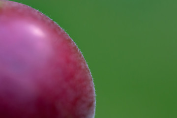 Fragment of a red apple on a green background. The contour of the apple in sharpness.