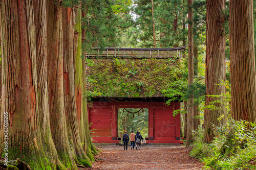 戸隠神社奥社 参道 杉並木と山門 長野県戸隠 Togakushi Shrine Approach Row Of Cedar Trees And Mountain Gate Nagano Togakushi Stock Photo Adobe Stock 戸隠神社奥社 参道 杉並木と山門 長野県戸隠 Togakushi Shrine Approach Row Of Cedar Trees And Mountain Gate Nagano Togakushi Stock Photo Adobe Stock