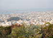 Panoramic view of Tokushima city from the top of Mount Bizan at sunset with cherry trees blooming - Tokushima, Japan