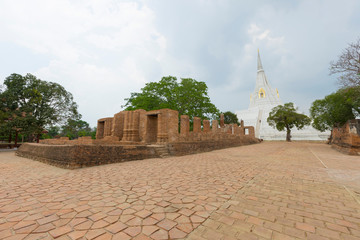 Wall Mural - Beautiful chedi of Phukhao Thong in Ayutthaya, Thailand.