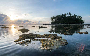 Natural seascapes starfish on rock beach at sunset